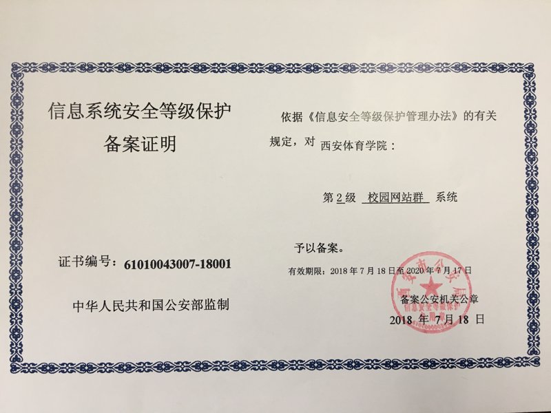 SEO站群：新时代网站构建的艺术